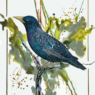 An acrylic painting of a European Starling by Nationally Renowned Métis Nature Artist Tracey Lee Green.