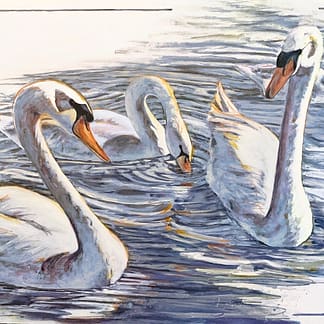 An acrylic painting of Trumpeter Swans by Nationally Renowned Métis Nature Artist Tracey Lee Green