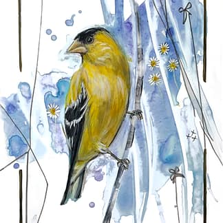 A male American Goldfinch acrylic painting by Acclaimed Métis Nature Artist Tracey Lee Green.