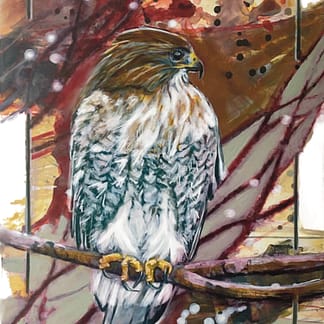 An acrylic painting of a Red Tailed Hawk by Nationally Acclaimed Canadian Métis Nature Artist Tracey Lee Green.