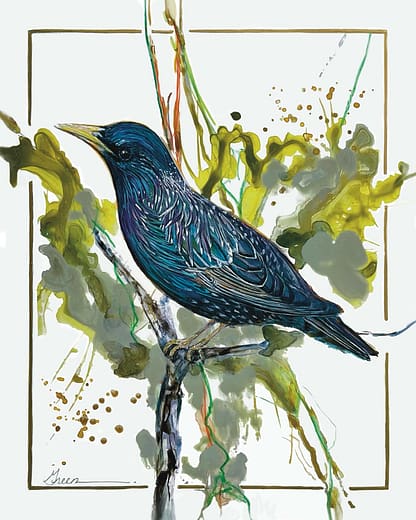An acrylic painting of a European Starling by Nationally Renowned Métis Nature Artist Tracey Lee Green.