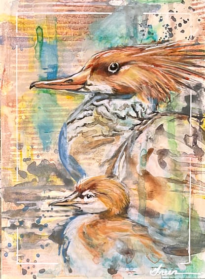 An acrylic painting of a Common Merganser female and her chick, by the Great Nationally Acclaimed Métis Nature Painter Tracey Lee Green