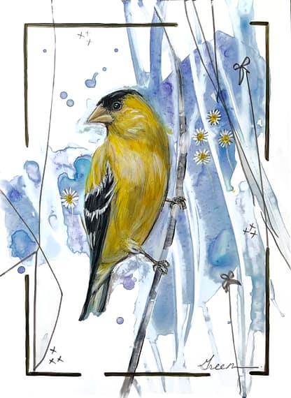 A male American Goldfinch acrylic painting by Acclaimed Métis Nature Artist Tracey Lee Green.